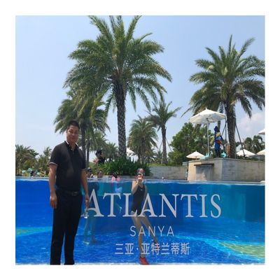 모듈형 창문 및 아크릴 패널 고객 요구 수영장용 플라스틱 시트
