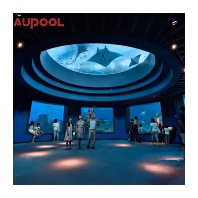 아크릴 수영장 AUPOOL 정원 뒷마당 커버와 히터와 함께 끝없는 긴 수영 스파