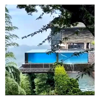 투명 인피니티 벽과 맞춤형 현대 지붕 아크릴 야외 수영장