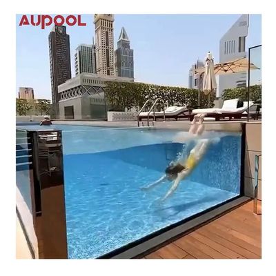 인기가 있는 사용자 정의 인피니티 엣지 두꺼운 유리 수족관용 맑은 두꺼운 액릴 유리 장
