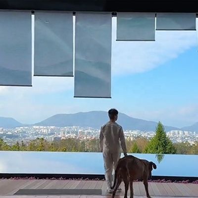 고객 요구 맑은 아크릴 수영장 벽 컨테이너 야외 설치